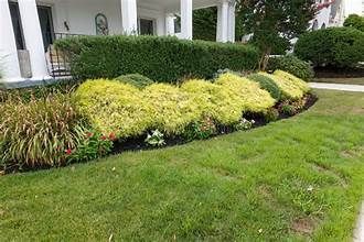 Well-manicured front yard with green lawn and various shrubs.