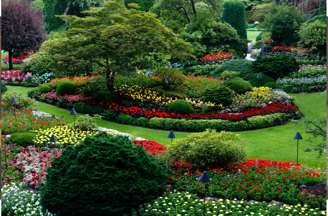 Lush, colorful garden with varied flowers and green shrubs, winding paths, and a tree in the center.