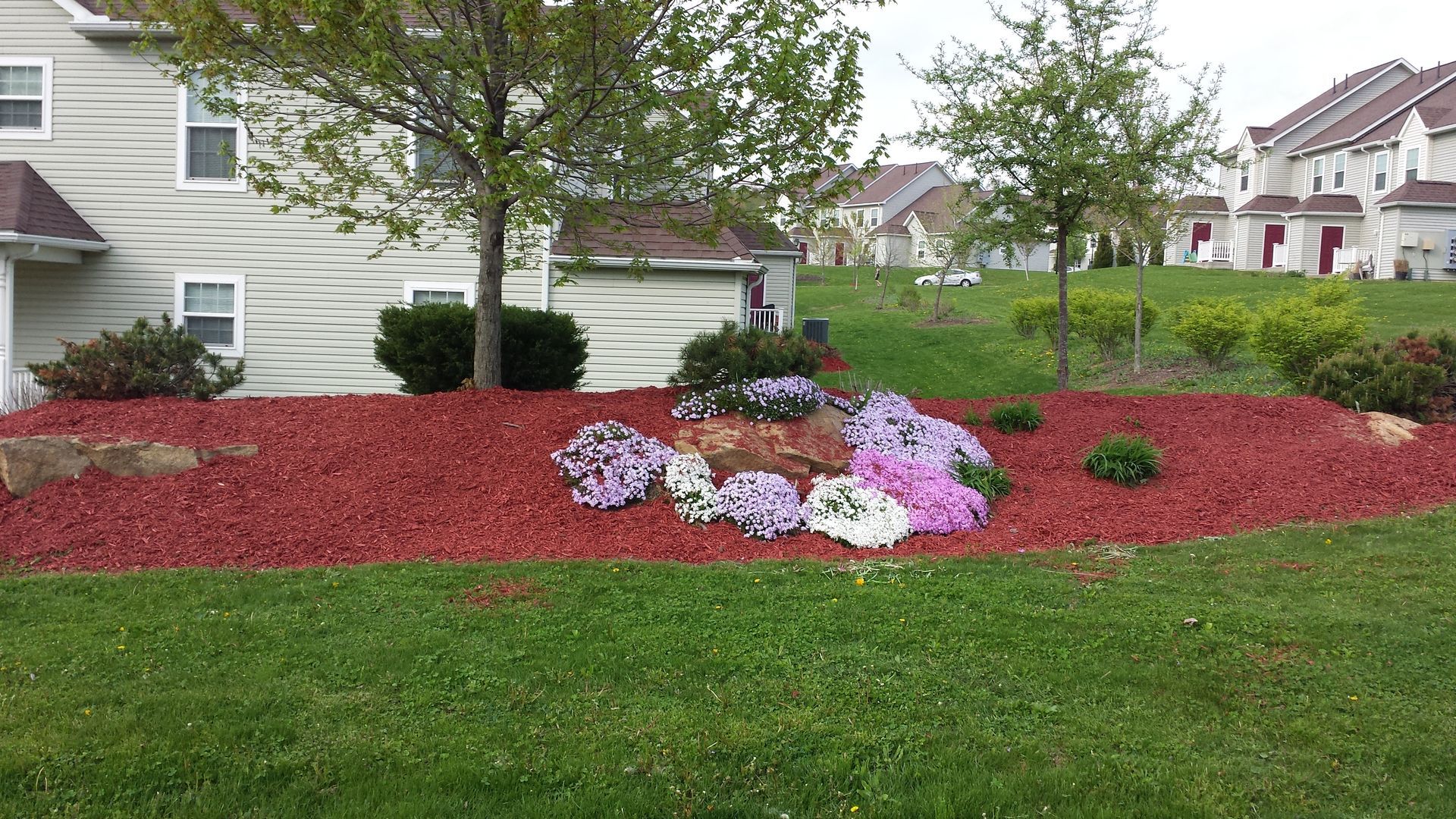 Flower bed with colorful blooms and red mulch in front of a building with green grass.