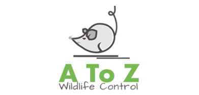 A To Z Wildlife Control - Logo