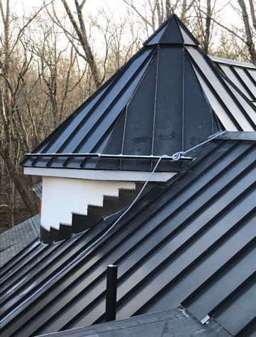 Black metal roof with a small dormer and pyramid roof, set against bare winter trees.