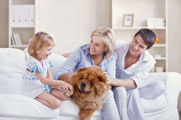 Family sitting on a white couch with a fluffy brown dog in a bright living room