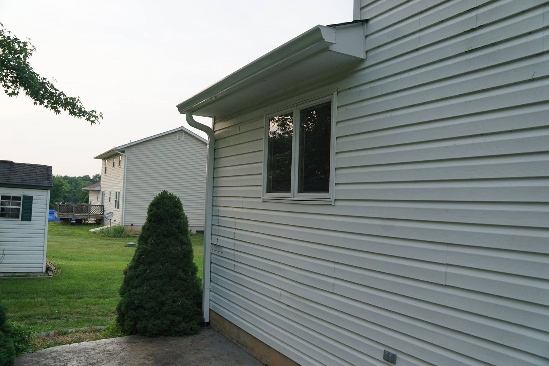 Side of a white house with a window, gutter, and downspout. A shrub and other houses are in the background.