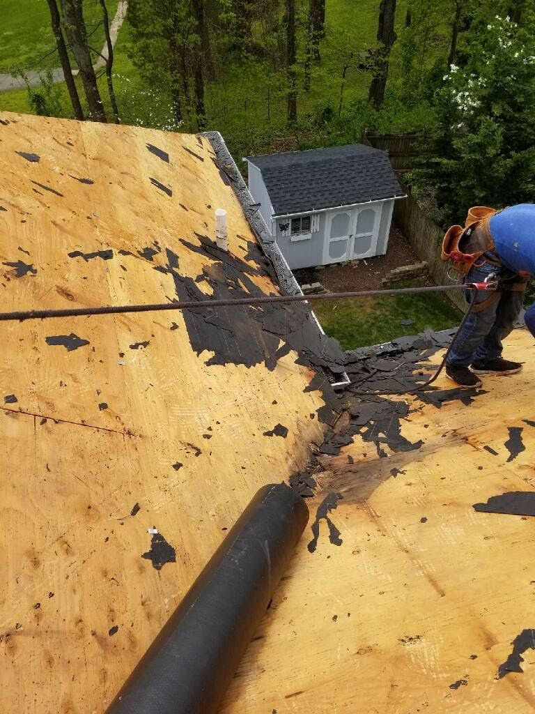 Roofer removing old shingles on a wooden roof with safety harness, near a small shed and trees.
