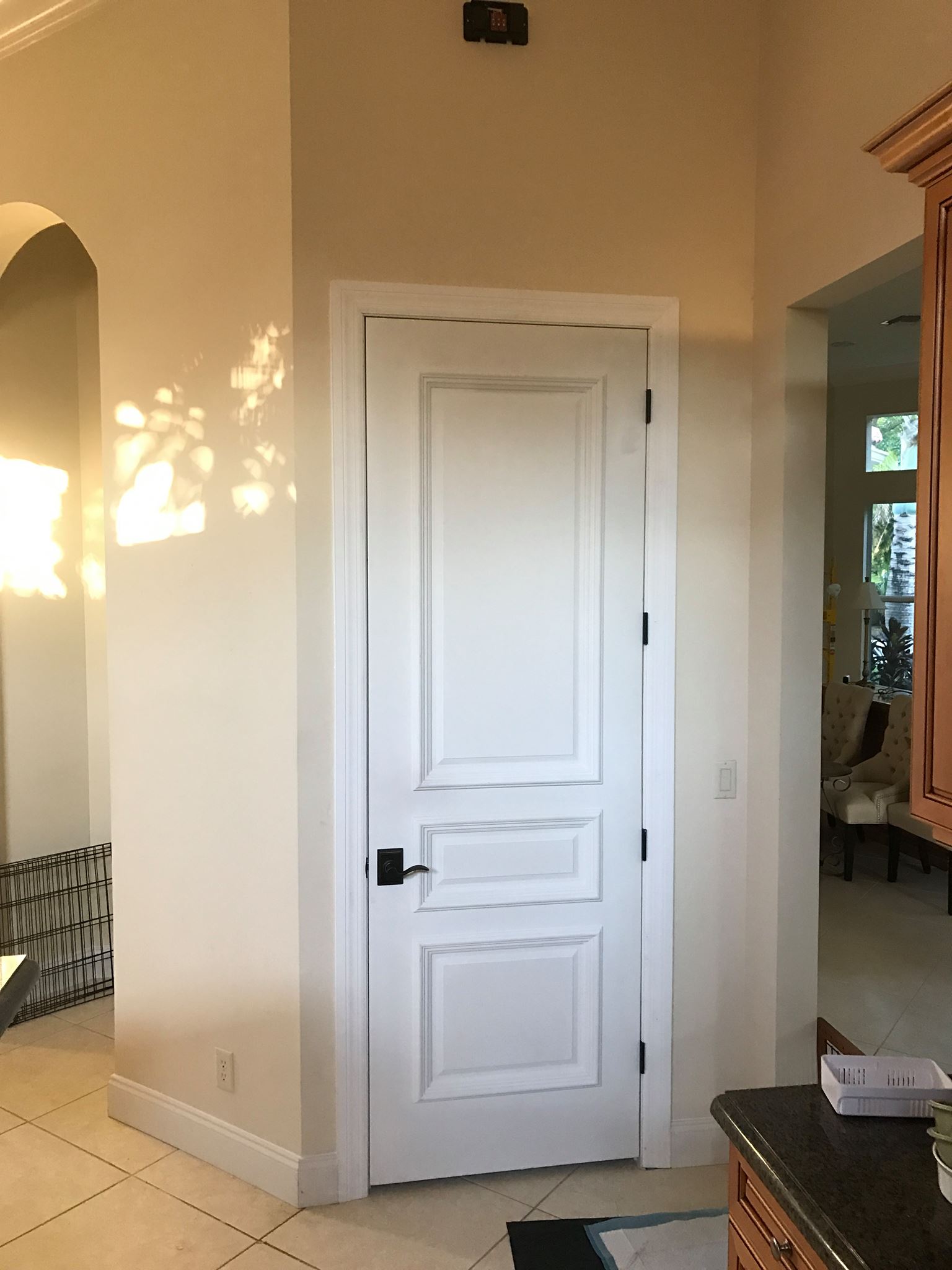 Residential door
