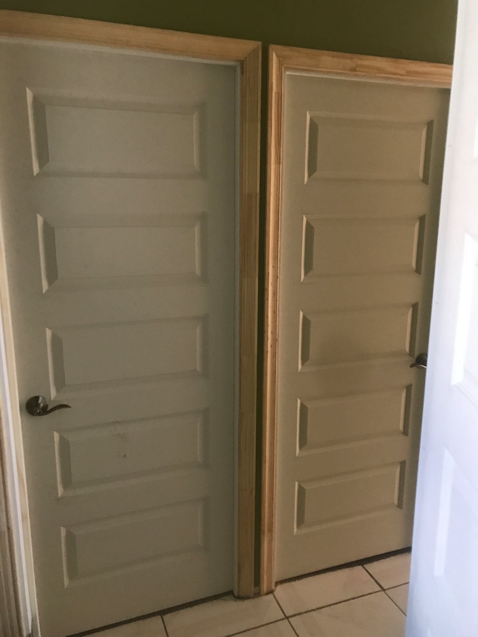 Residential door