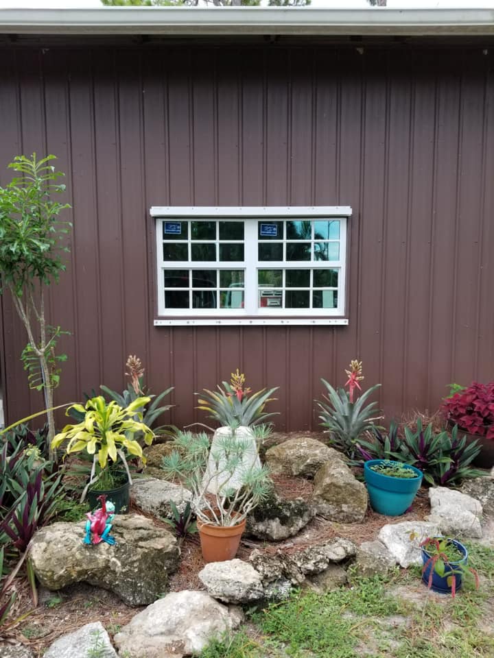 A house with a window and a garden in front of it.