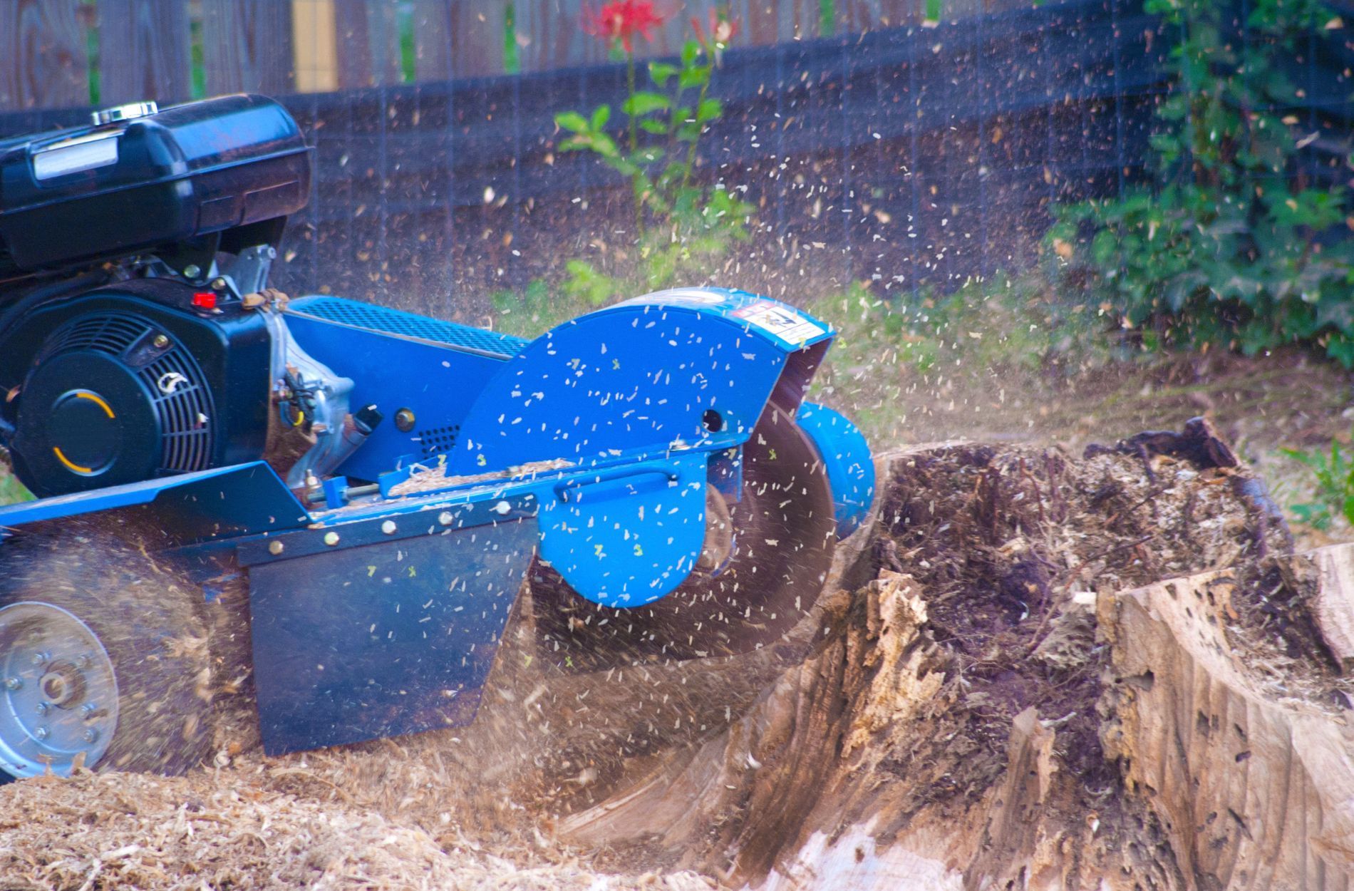 stump grinding