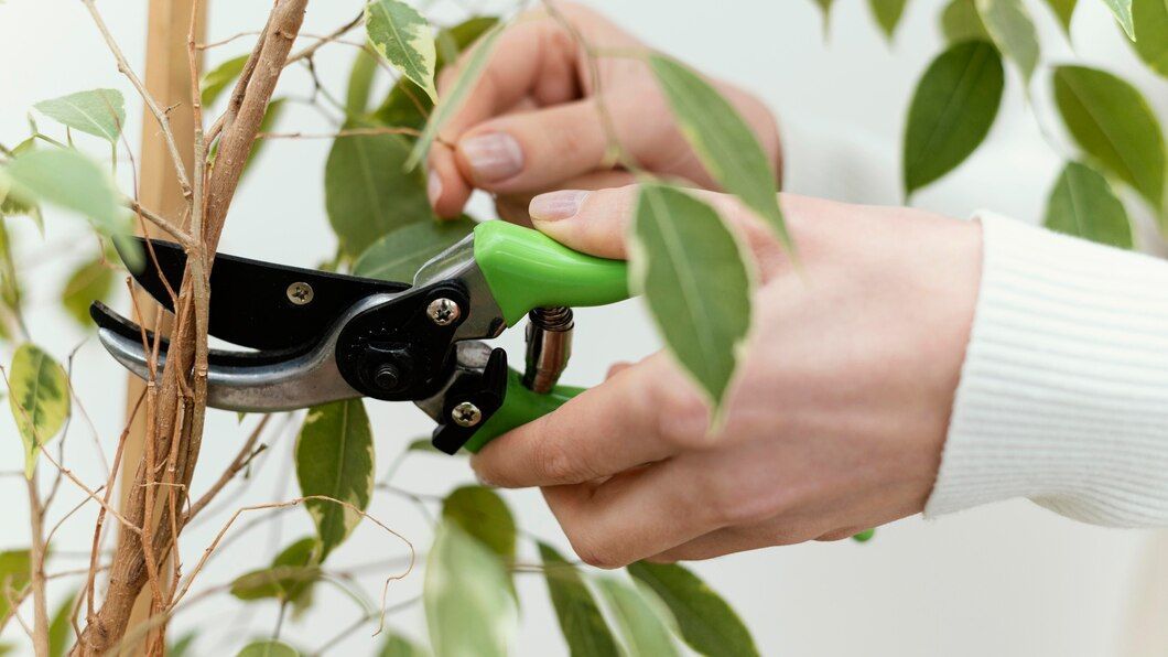 Tree Pruning