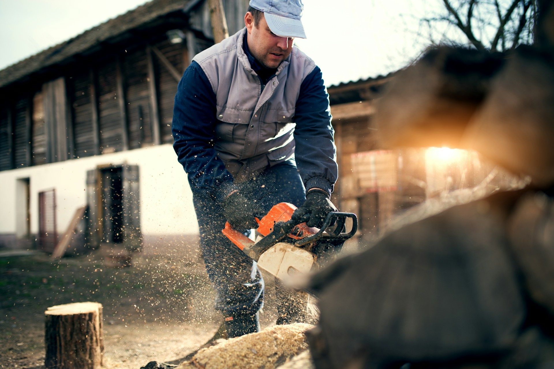 Stump Grinding