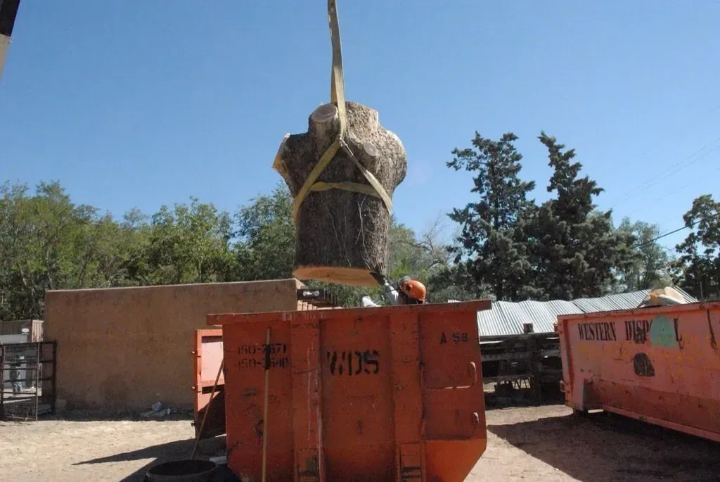 A large rock is being lifted out of a dumpster with the number 41275 on it