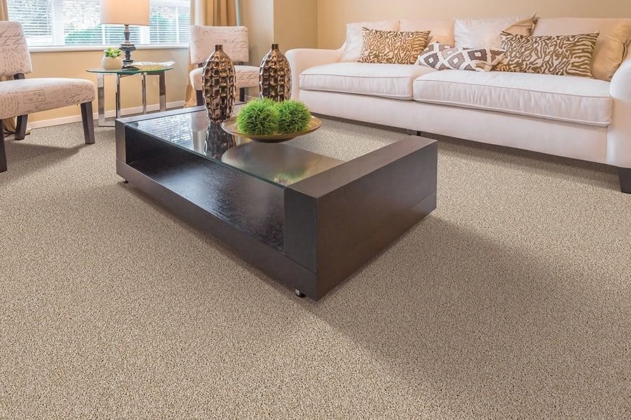Modern living room with beige sofa, dark coffee table, and small green centerpiece on carpet.