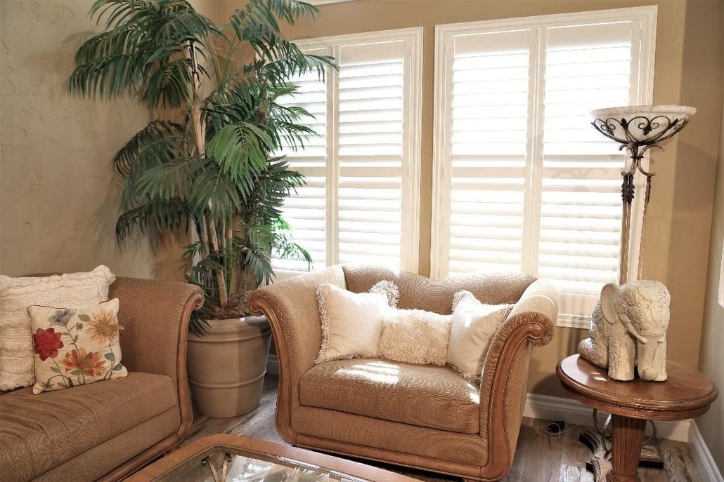 A beige living room featuring two armchairs, a large potted plant, a decorative elephant statue, and white window shutters.