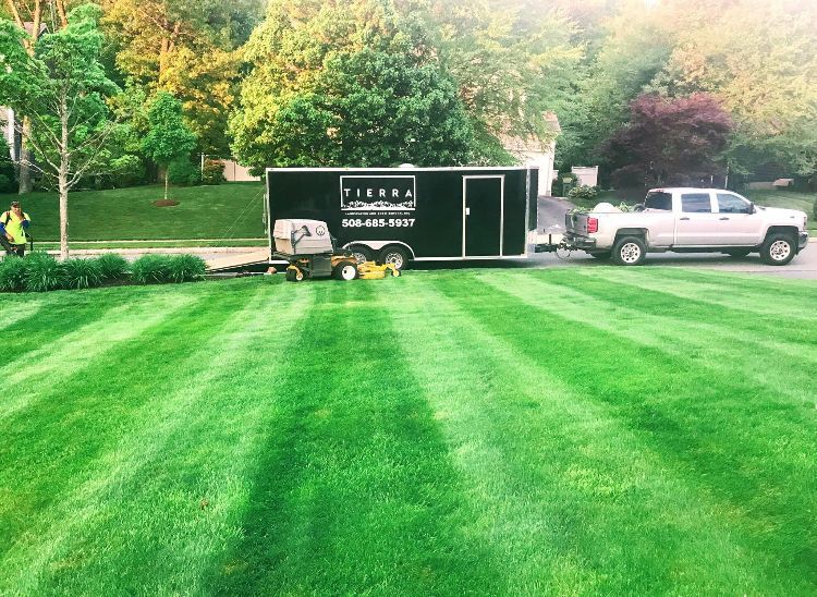 Lawn overseeding