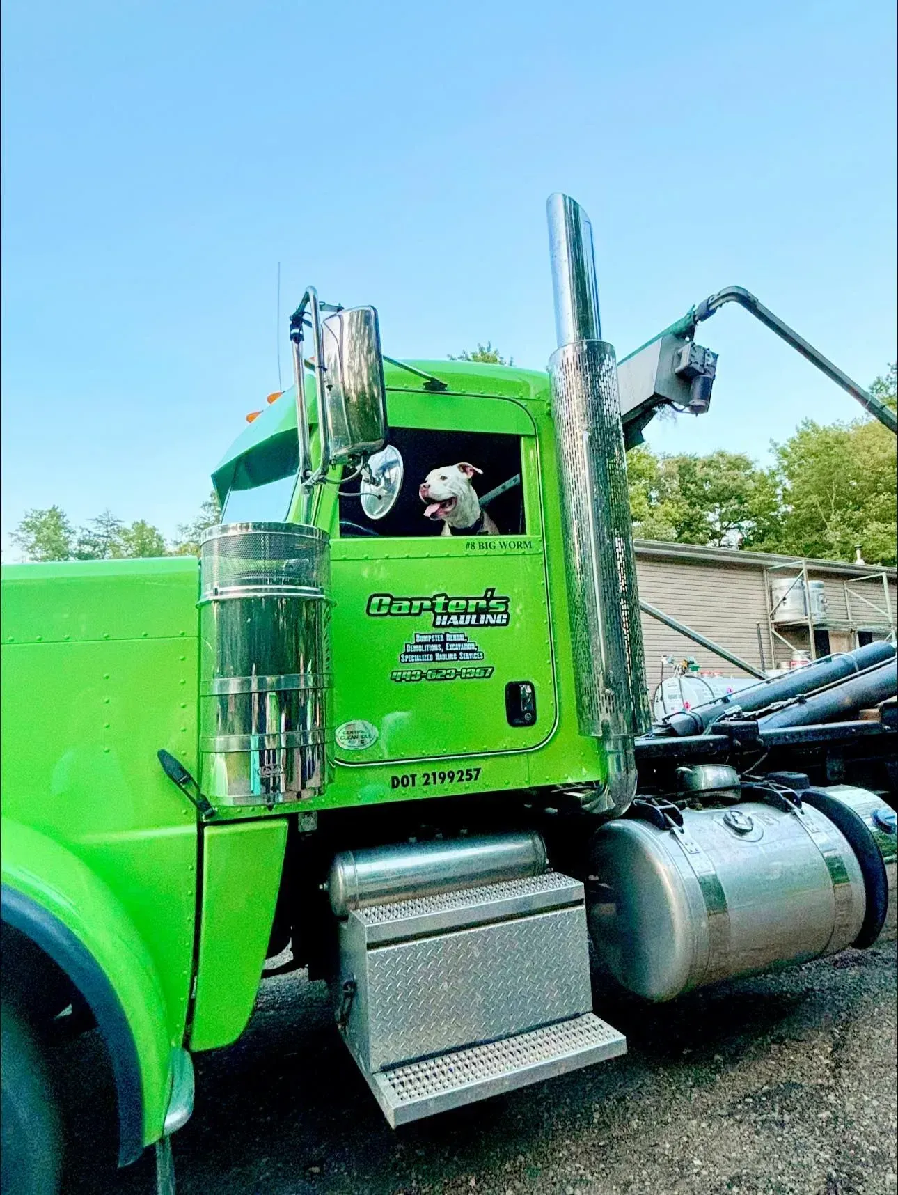 Green semi-truck with a white dog looking out the window.