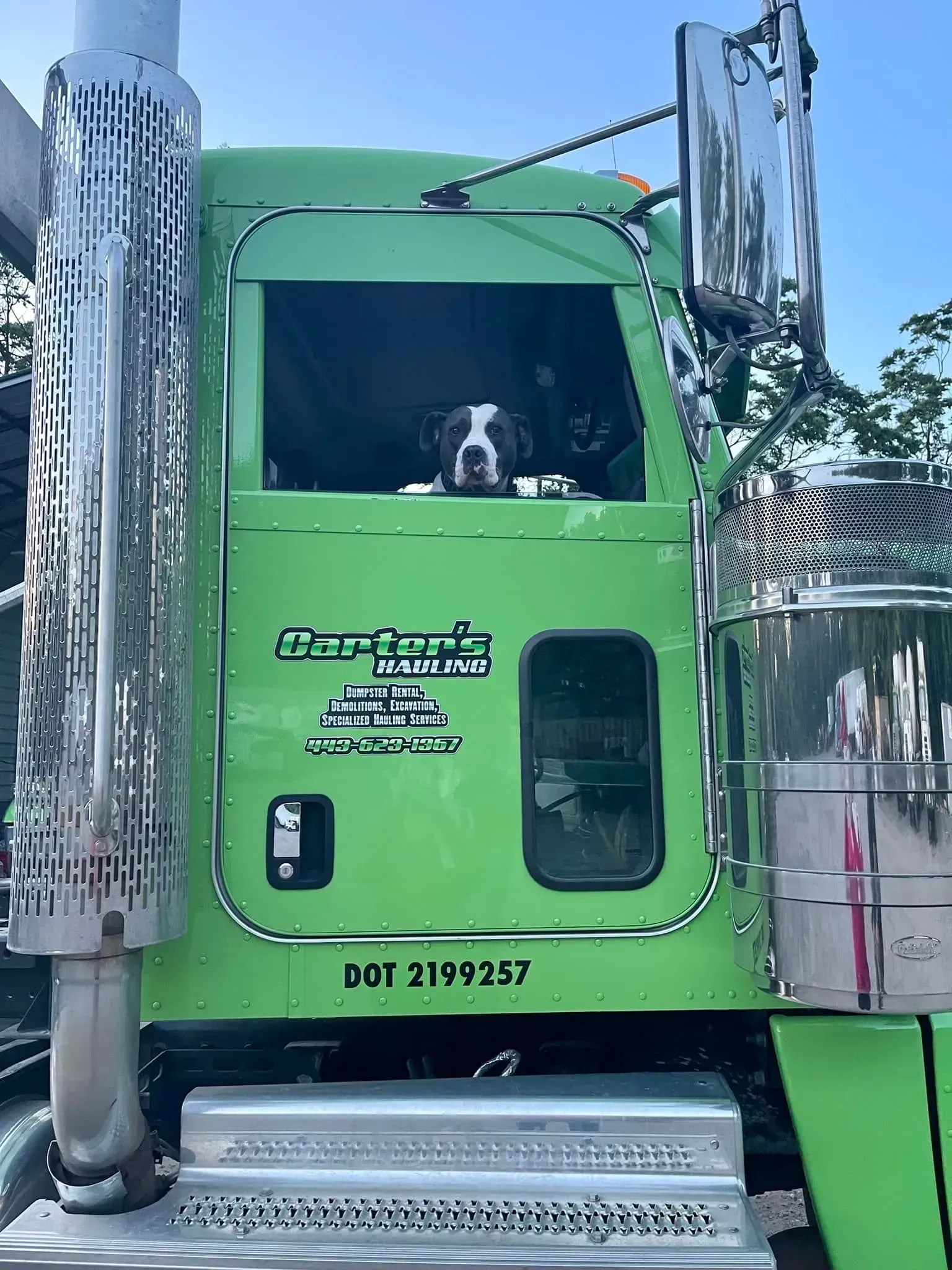 Green semi-truck with a dog peering out the window. Bright sky.