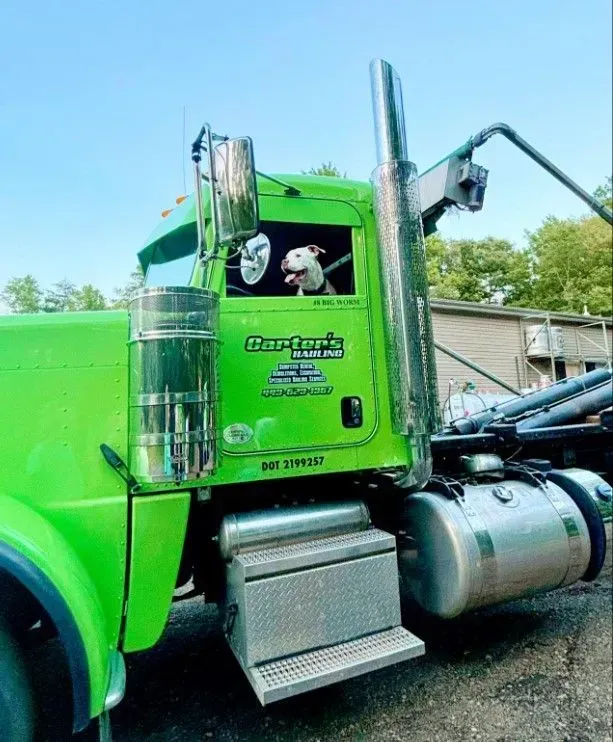 Green semi-truck with a dog looking out the window. Outdoor shot with a bright blue sky.