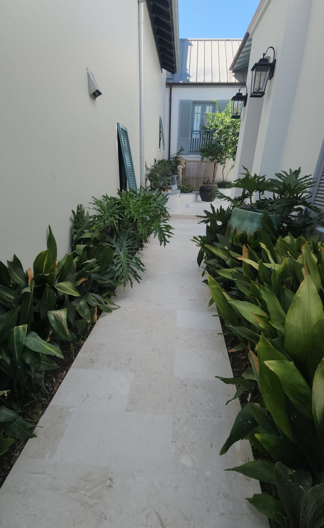 a walkway between two buildings surrounded by plants and bushes