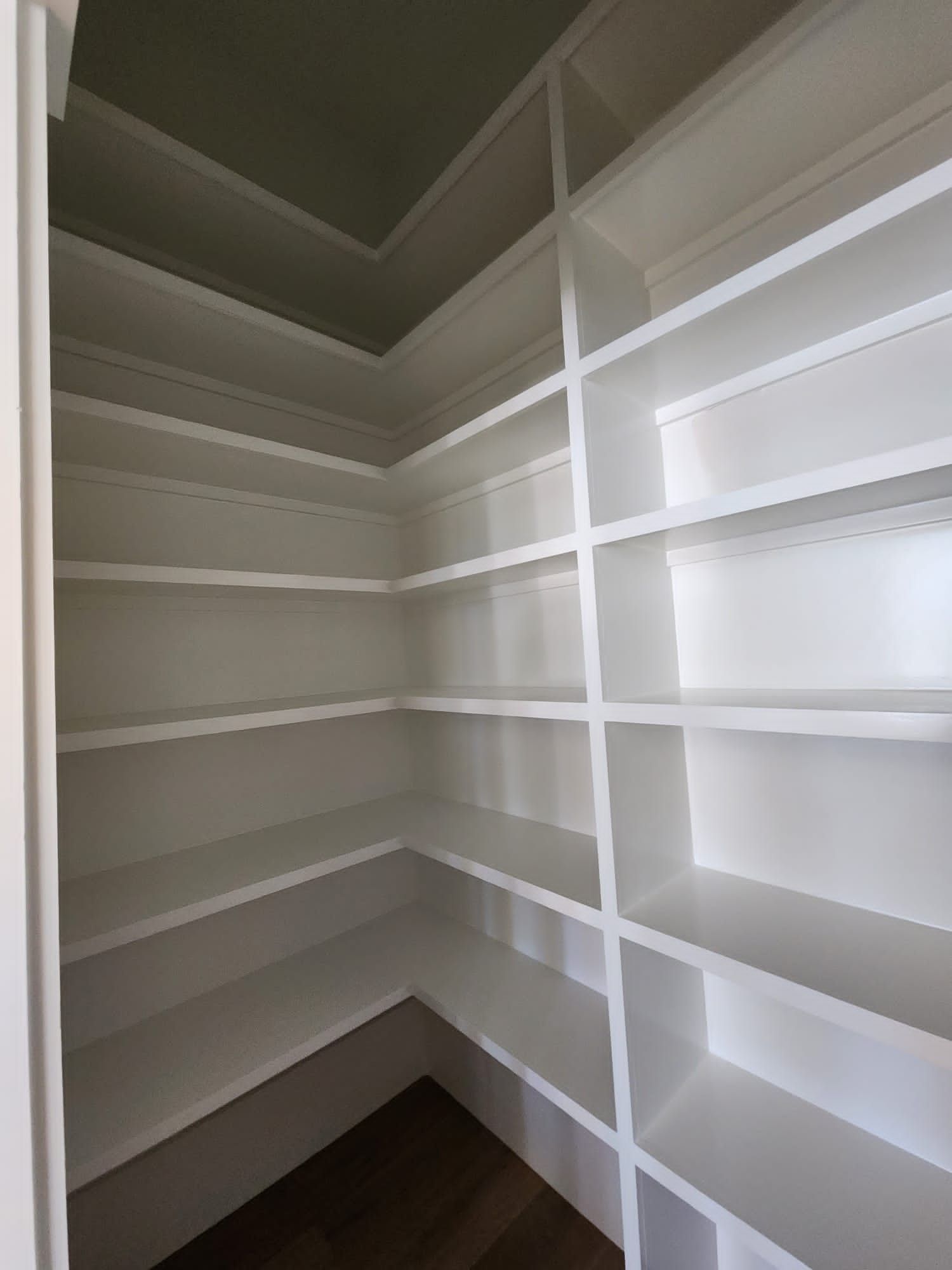 a pantry with lots of shelves in a house