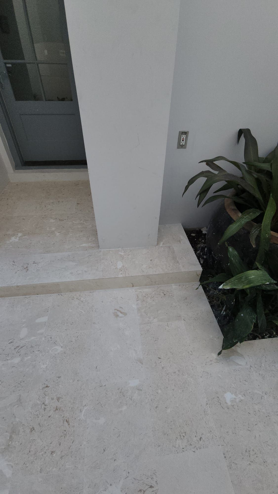 there is a plant in the corner of the room next to the stairs