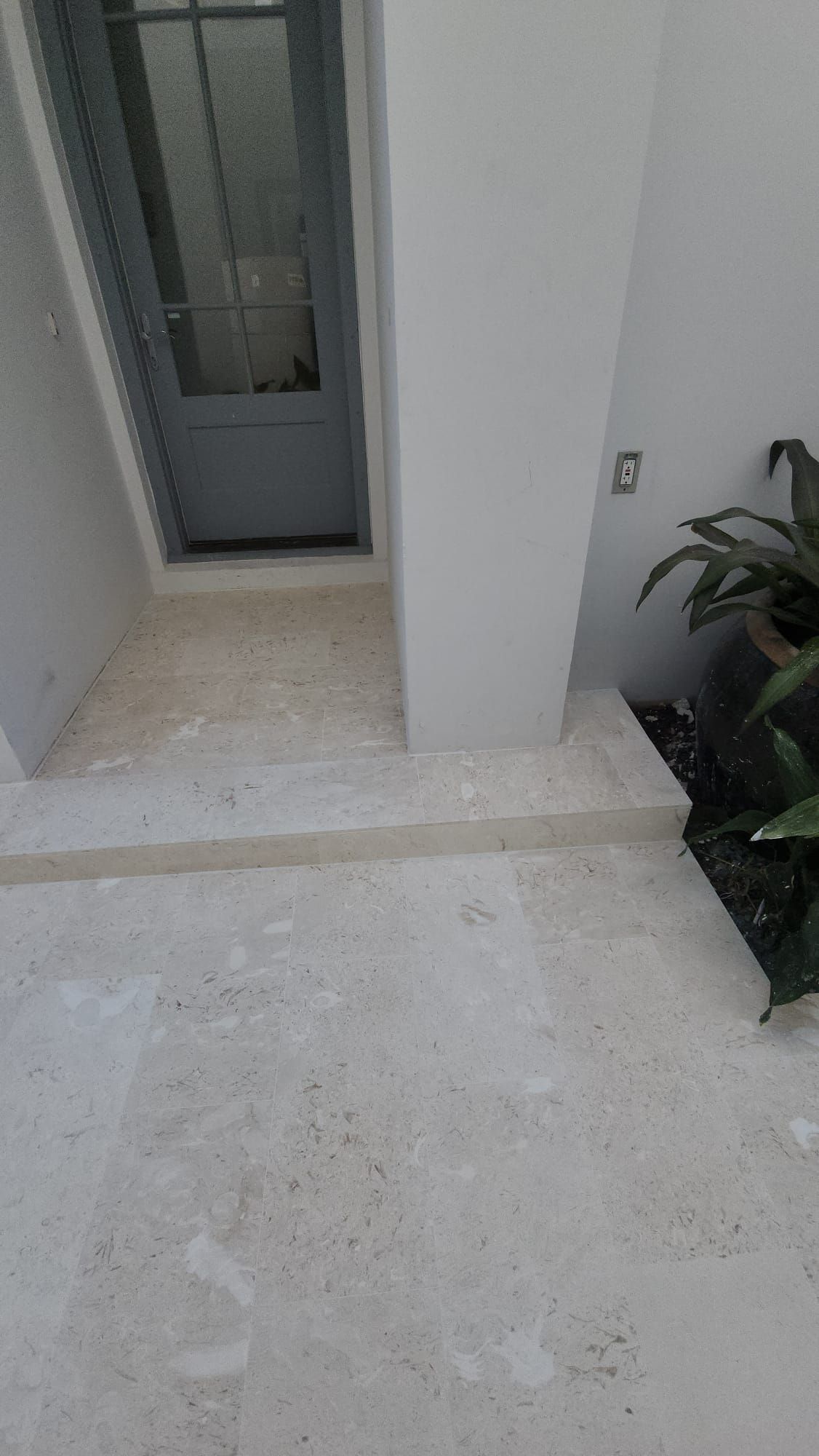 there is a plant in the corner of the room next to the door