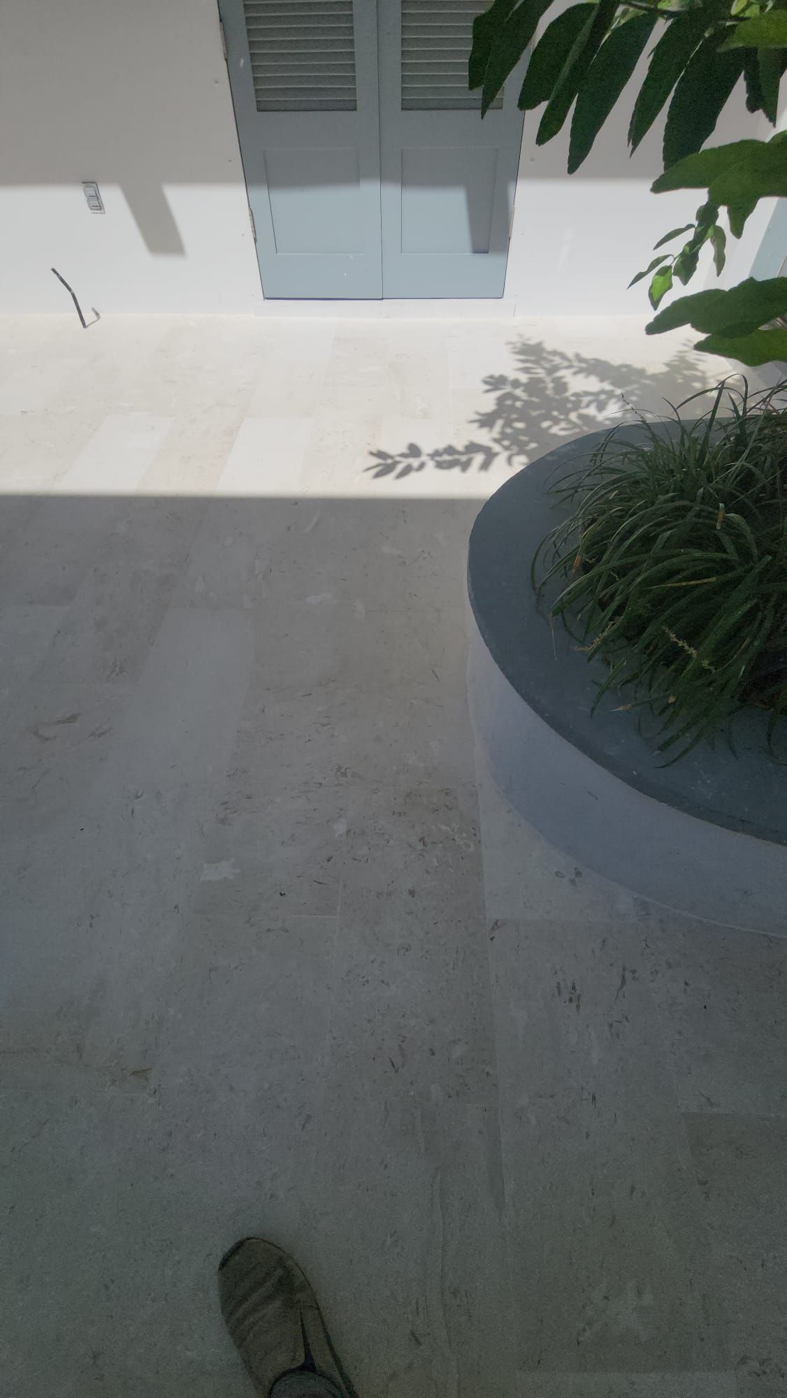a person standing on a concrete floor next to a potted plant
