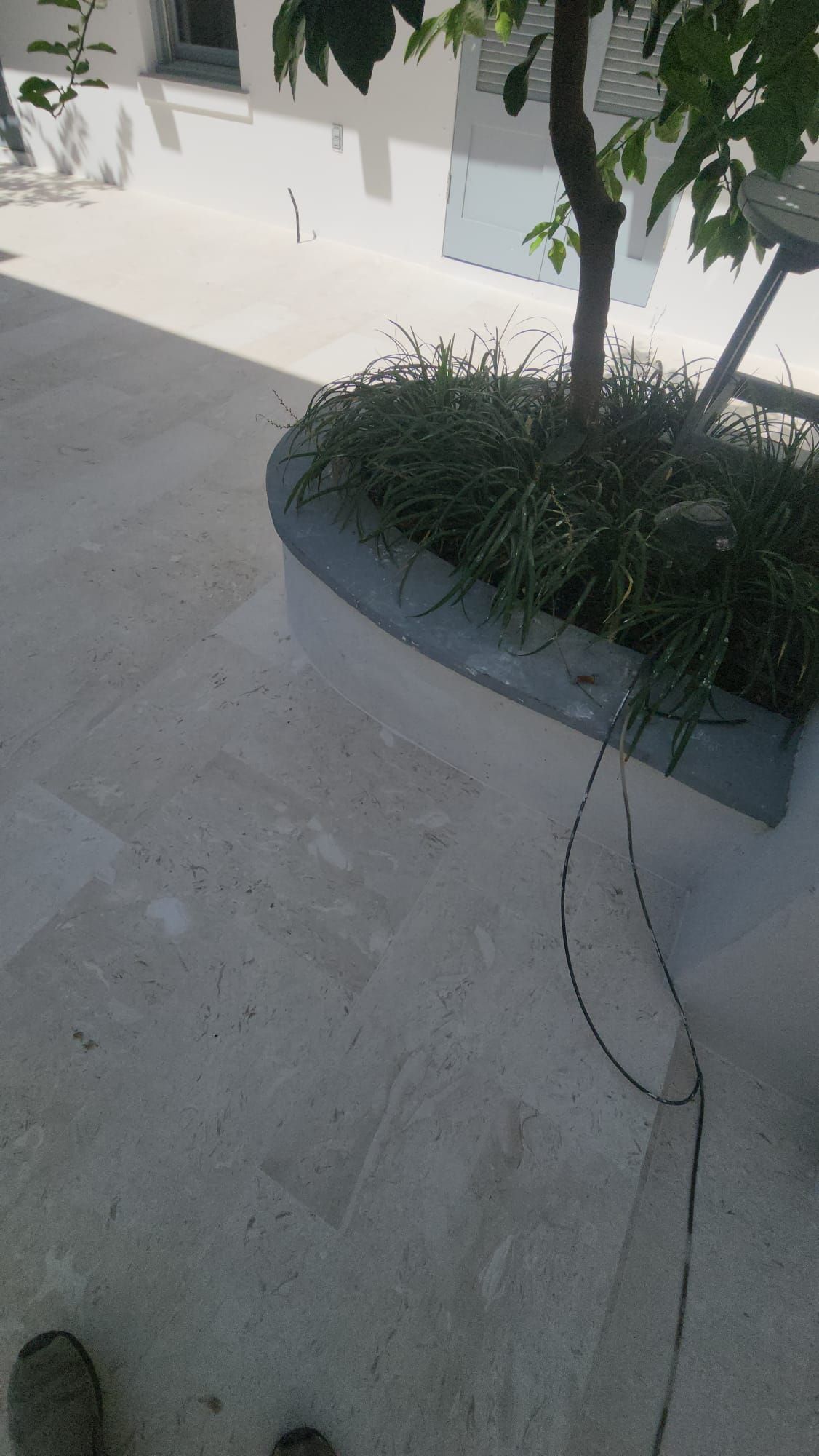 a person is standing on a tiled floor next to a tree