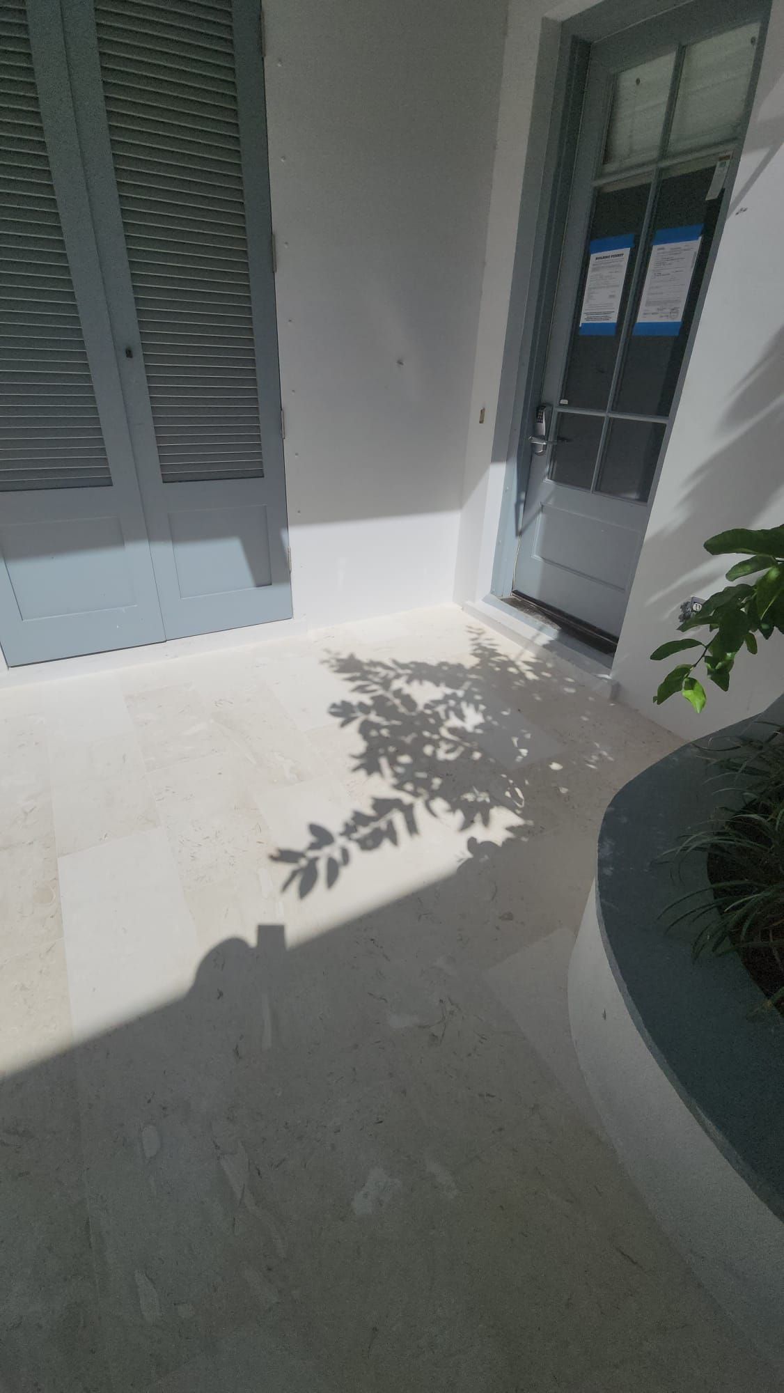 a shadow of a tree is cast on the floor of a building