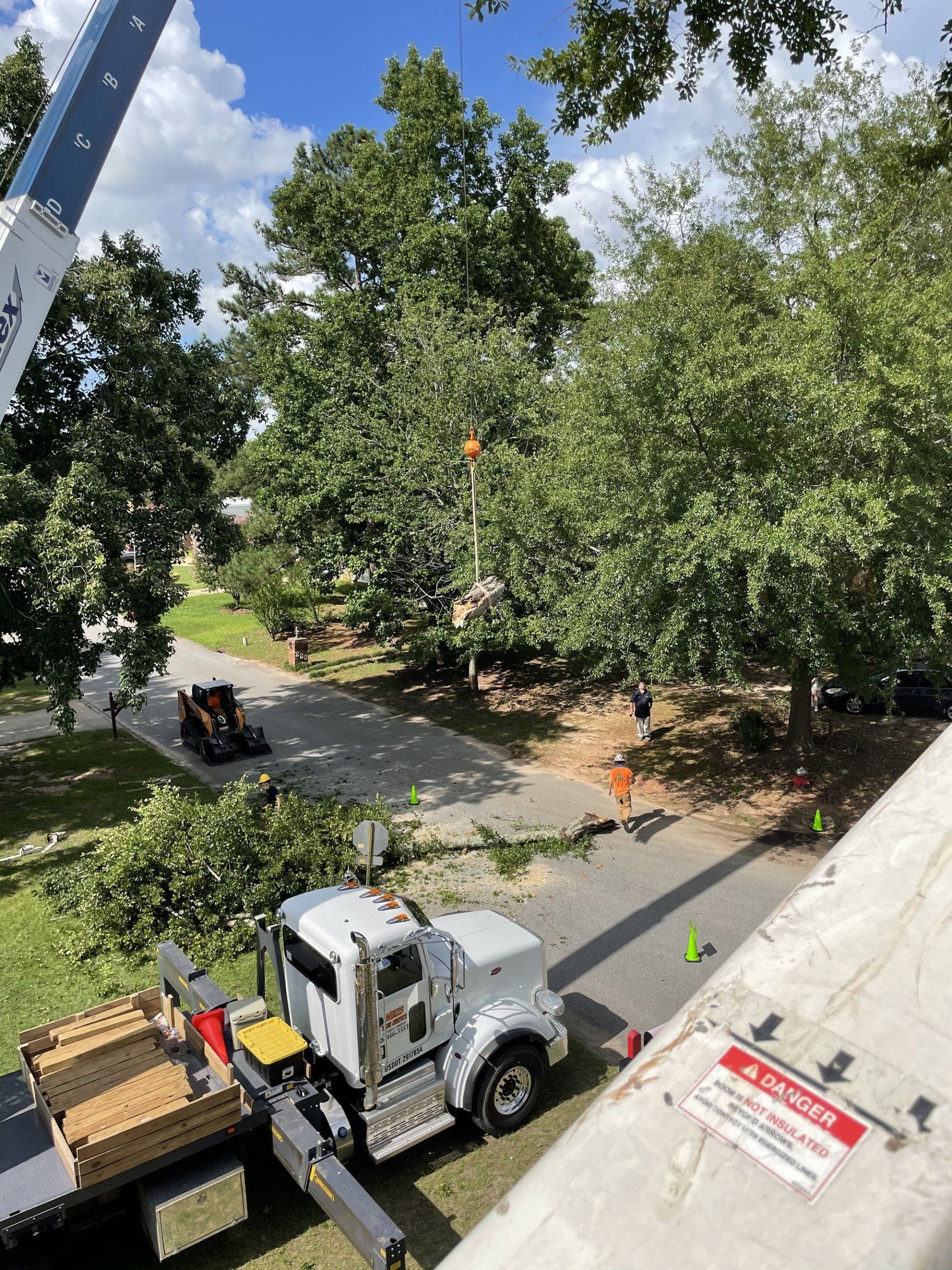 Tree Services