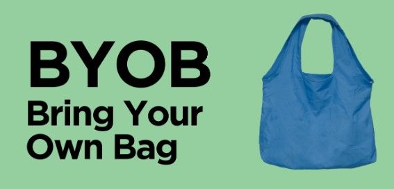 Furry cat in the snow