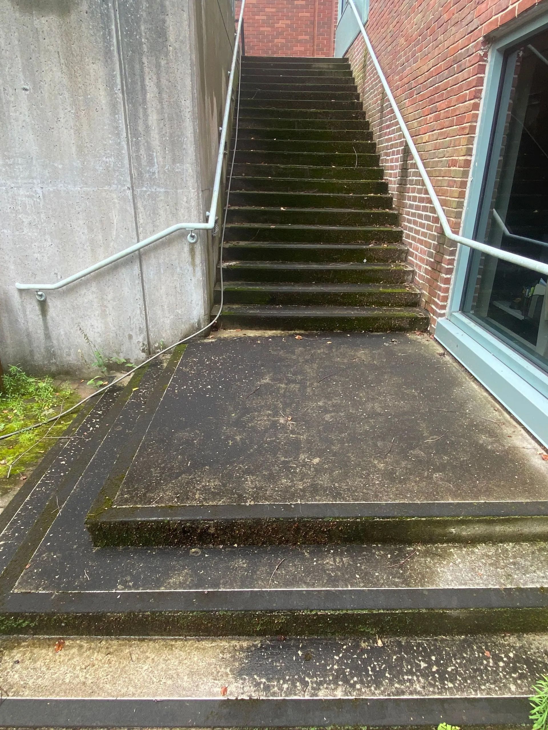 Concrete outdoor stairs with moss, leading up to a building, flanked by handrails and a brick wall.