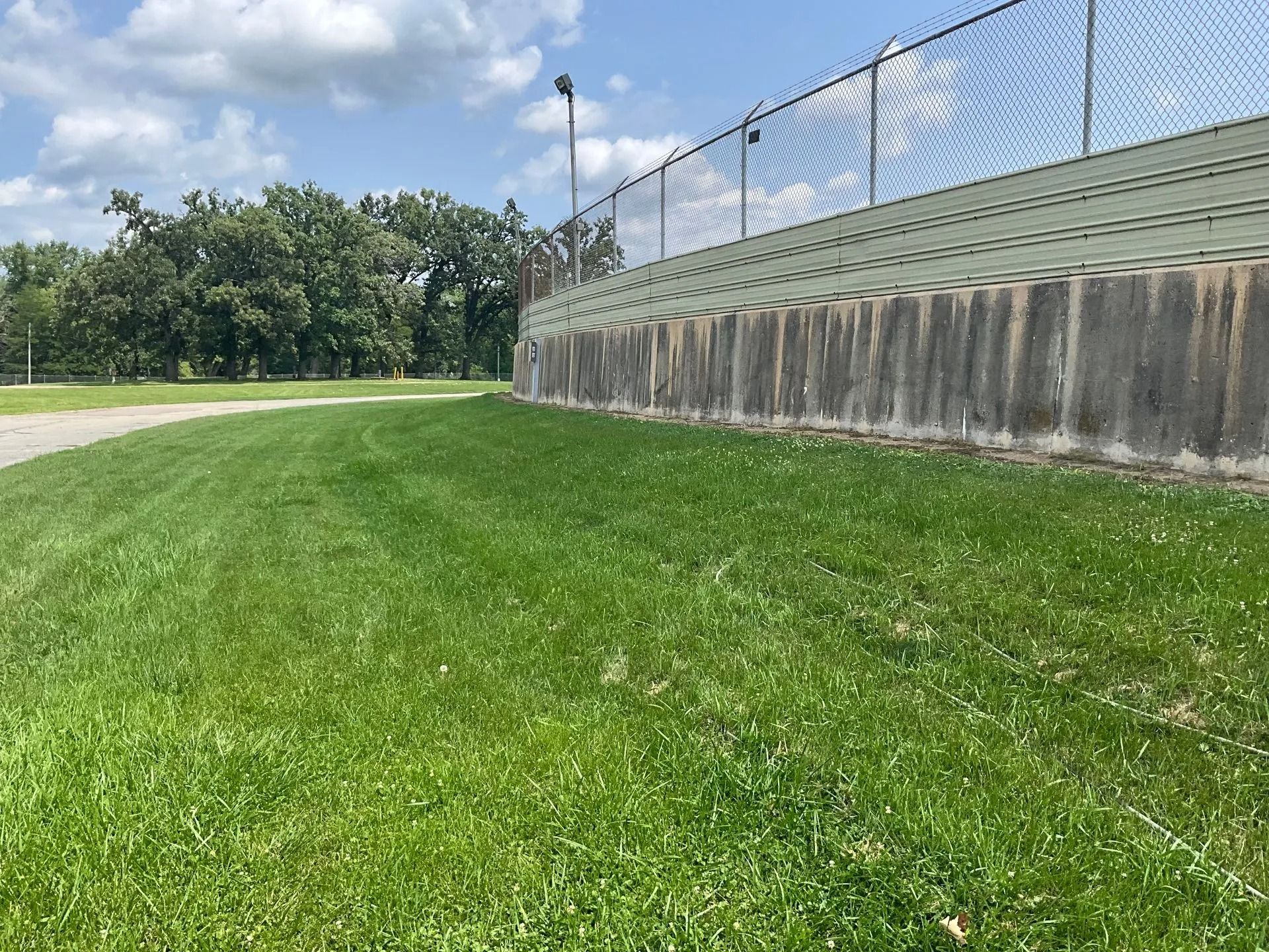 A lush green field with a fence in the background.