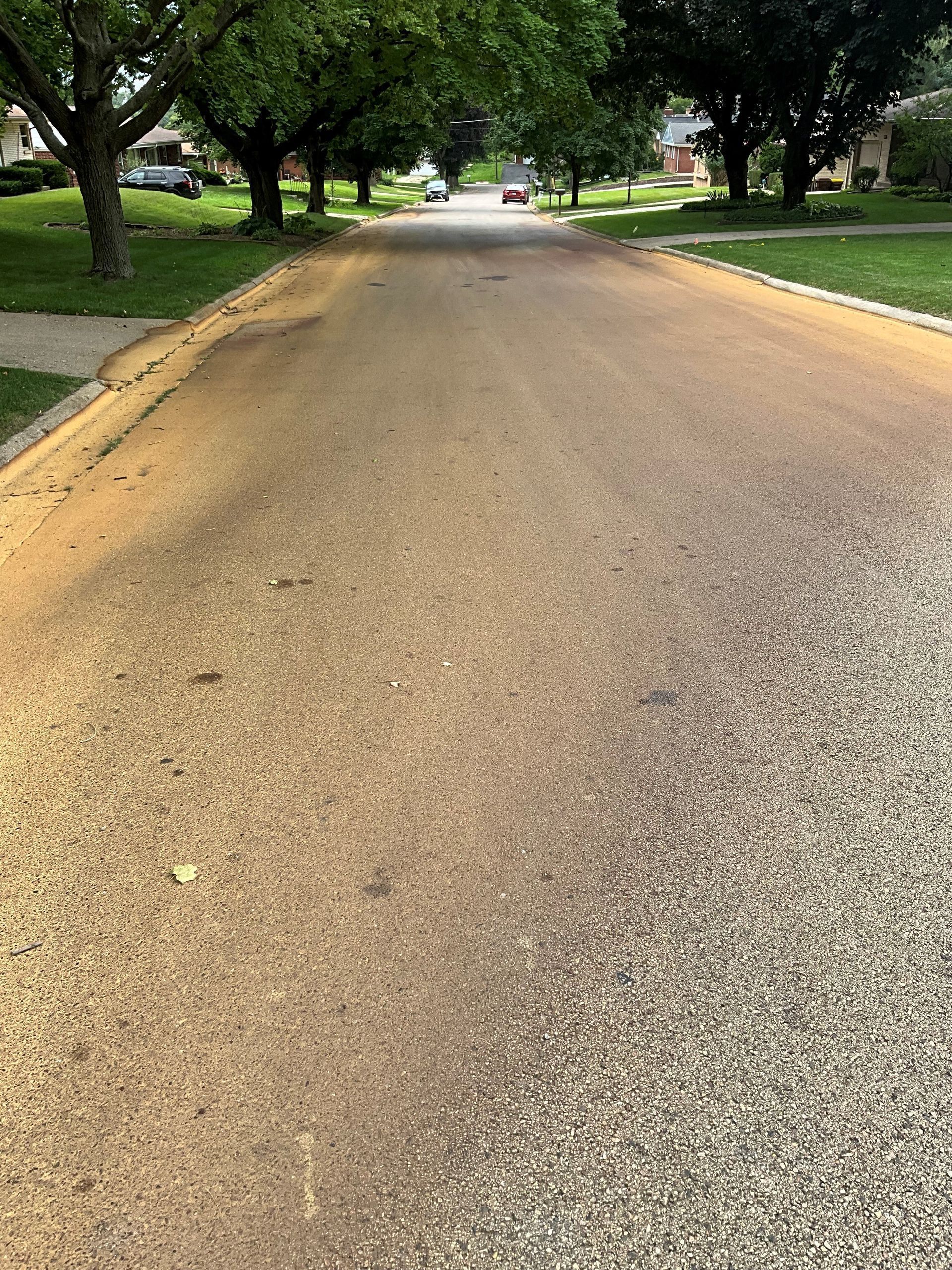 Street coated in yellow dust with trees lining the sides; houses in the distance.