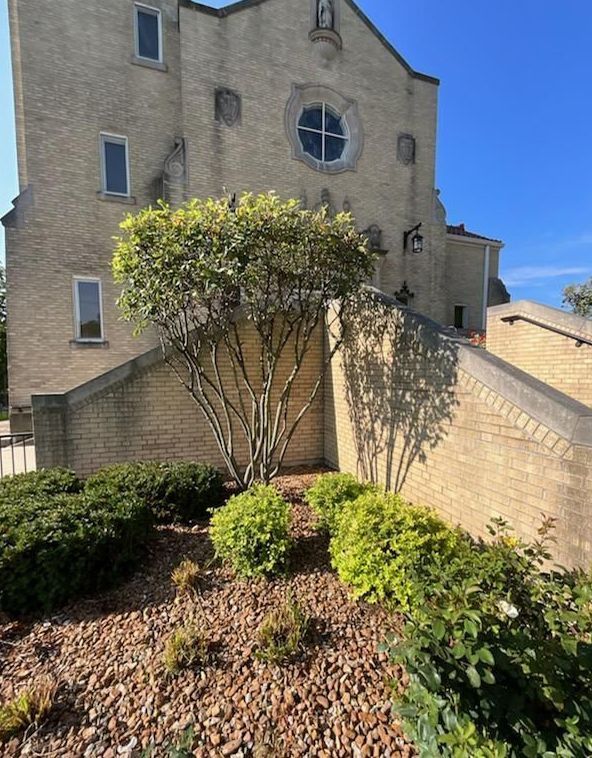 Church exterior with stairs, tree, bushes, and tan brickwork on a sunny day.