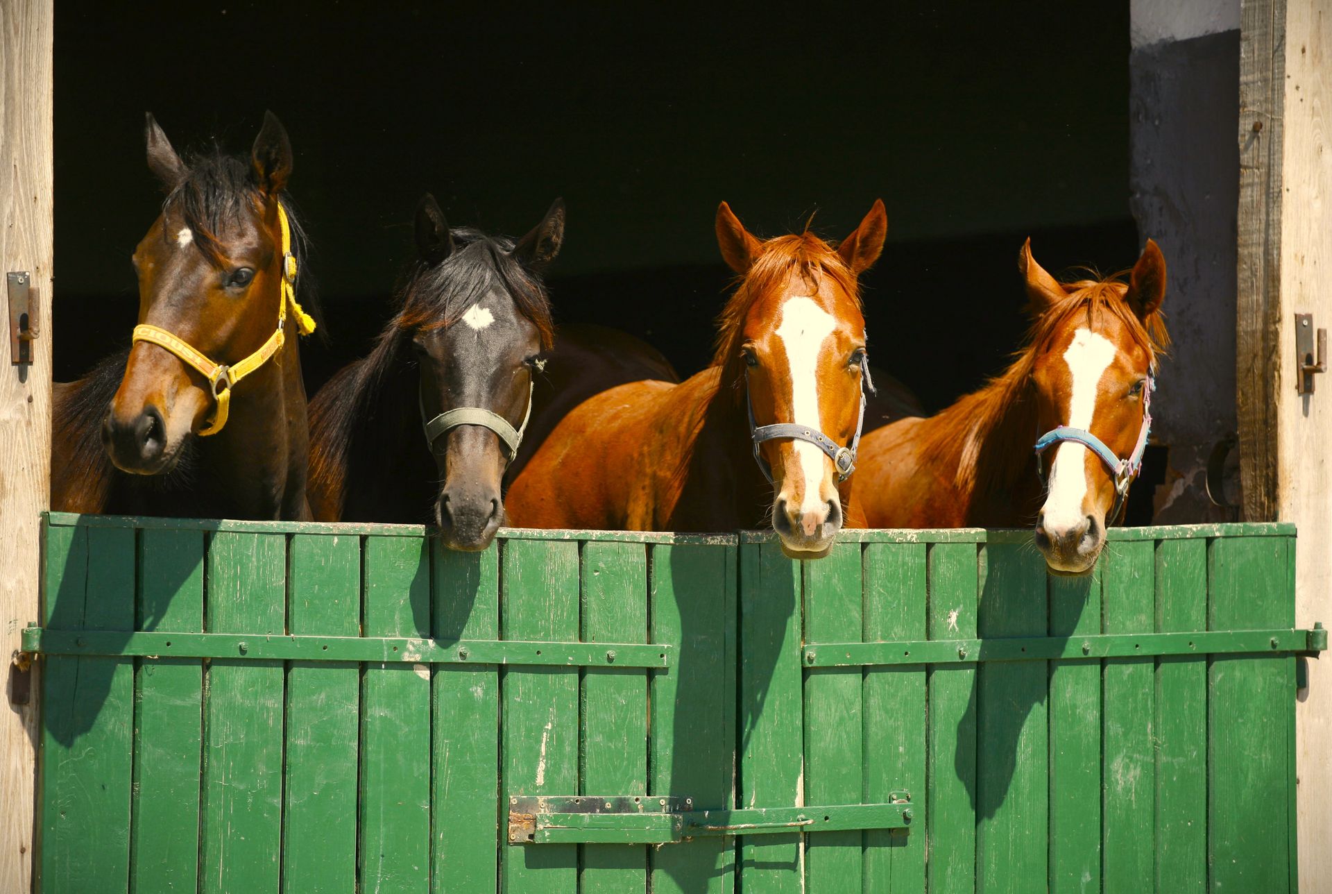 Green barn with open wooden sliding doors; light shines inside the entrance.