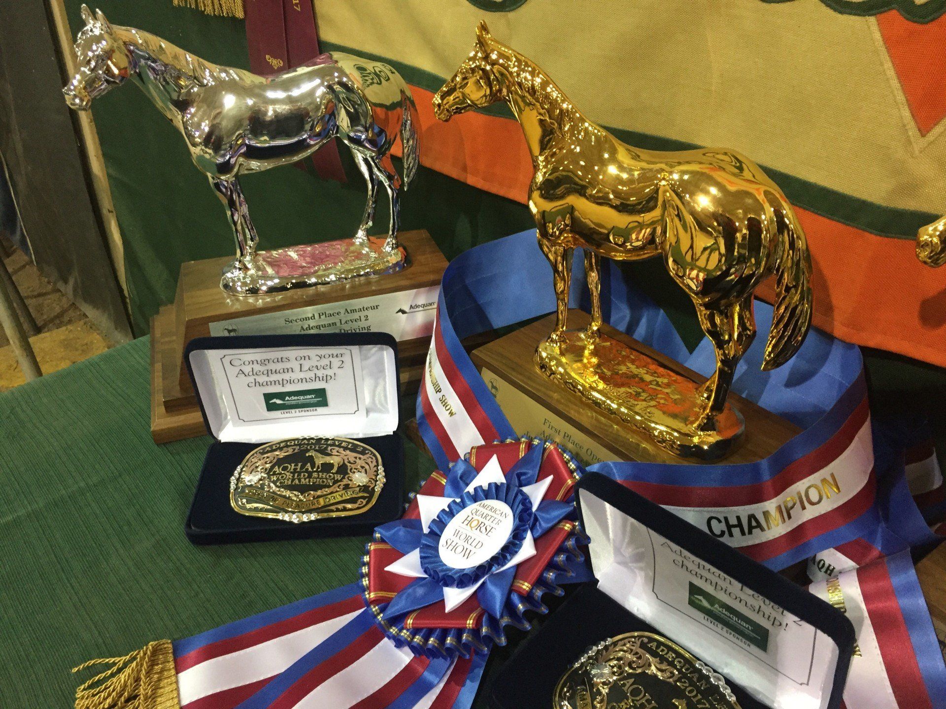horse show awards