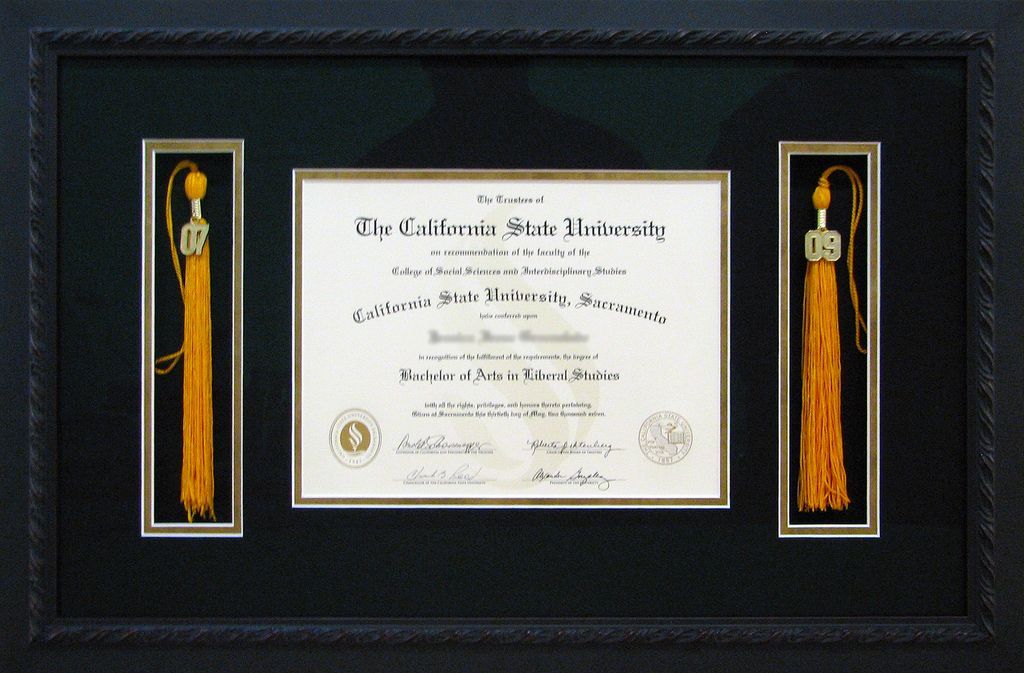 Degree frame