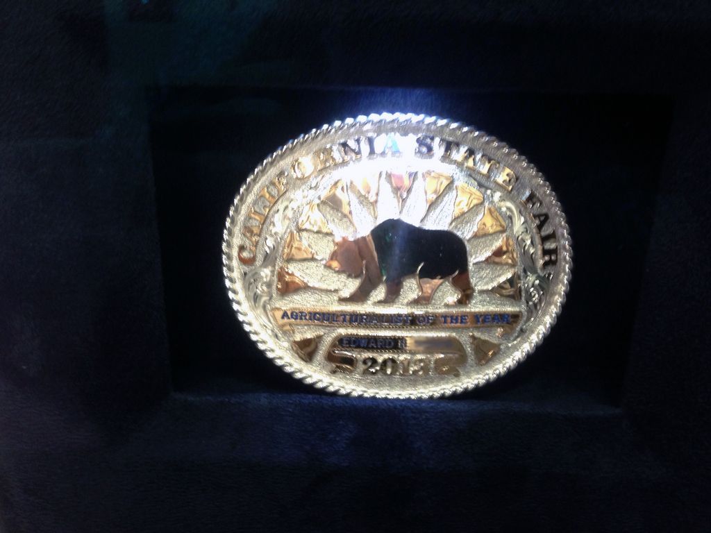 Illuminated belt buckle and awards with front opening shadow box frame detail