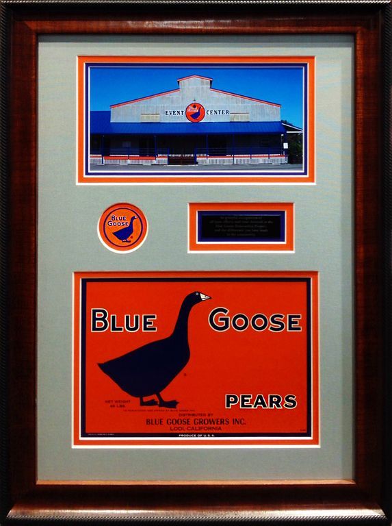 Appreciation award frame