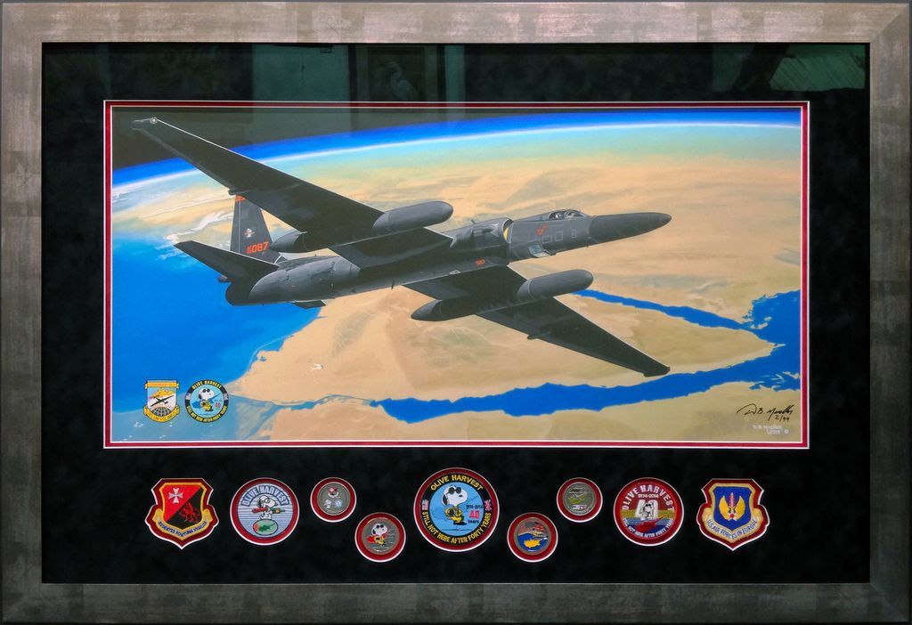 Military memorabilia frame with custom shaped recessed openings