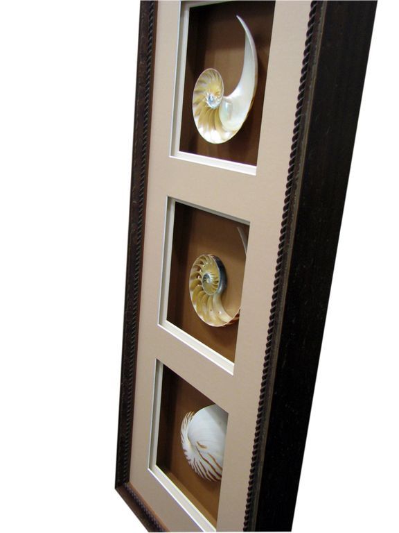 Shadow box frame