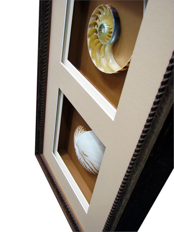 Shadow box frame