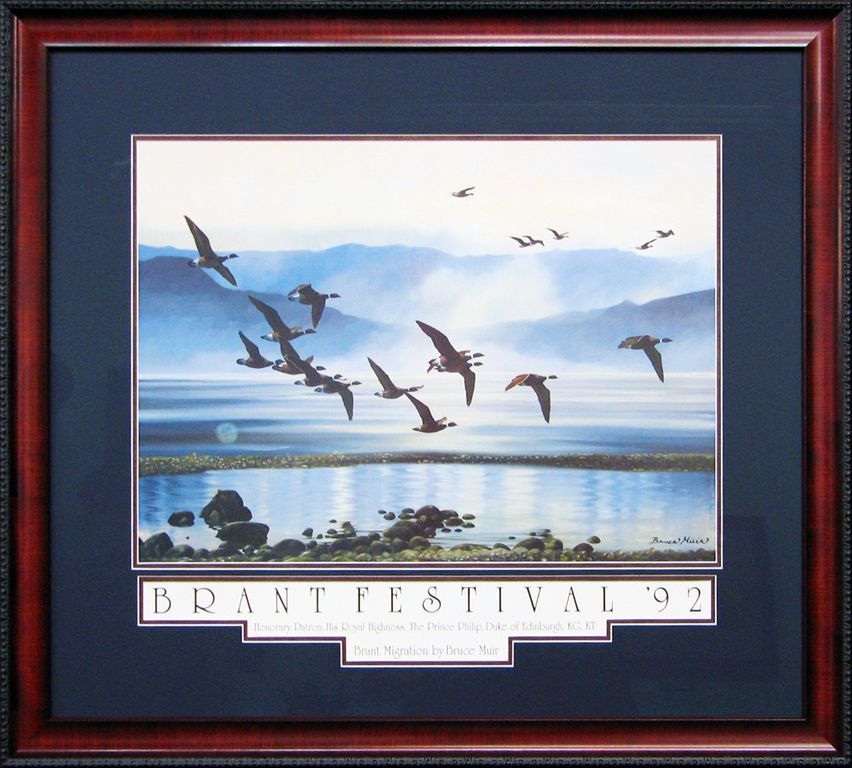 A framed poster for the brant festival in 1992