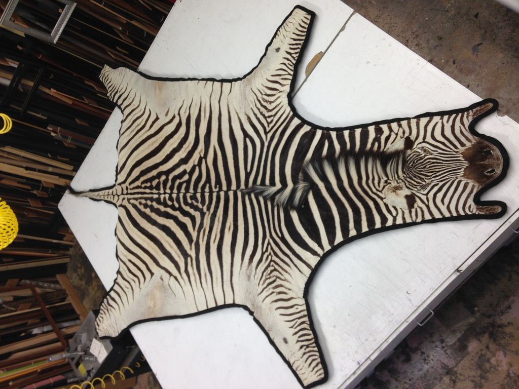 A zebra rug is laying on a white table