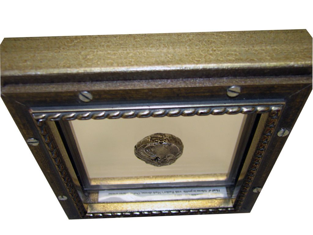 A frame with a picture of a lion on it