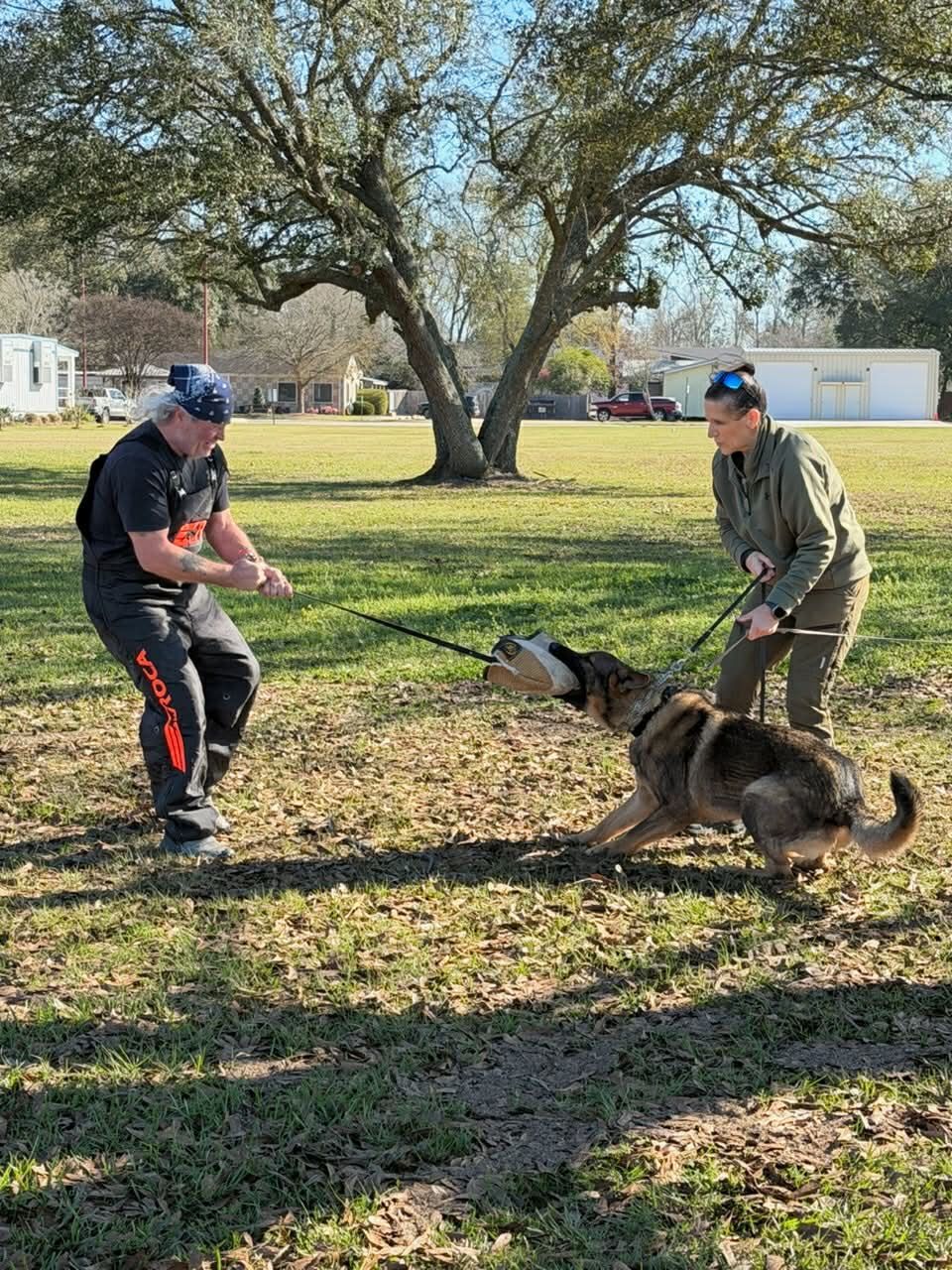Two people training a dog. Dog is pulling on a bite suit held by one person. Person two holds the leash in a grassy outdoor area.