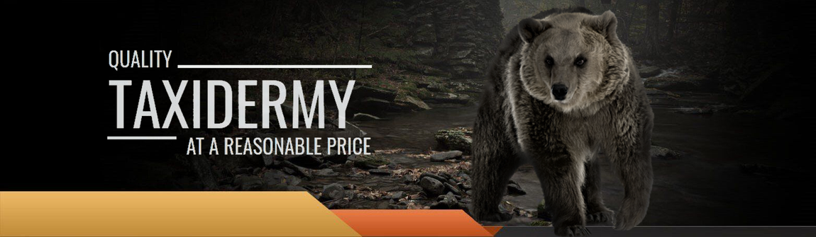 Quality Taxidermy at a reasonable price