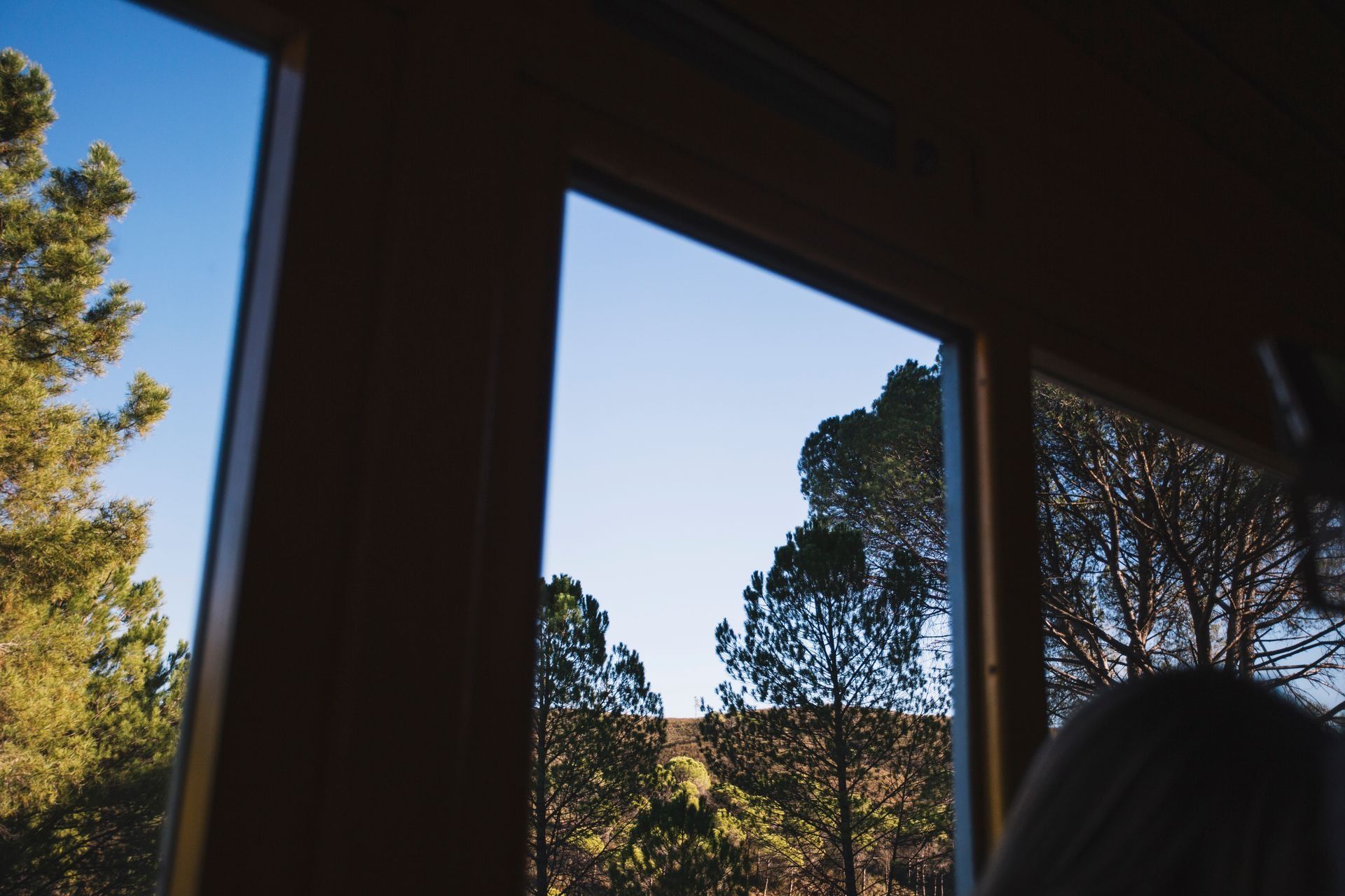 View through a window: blue sky, green trees, and partial interior view of wooden frame.