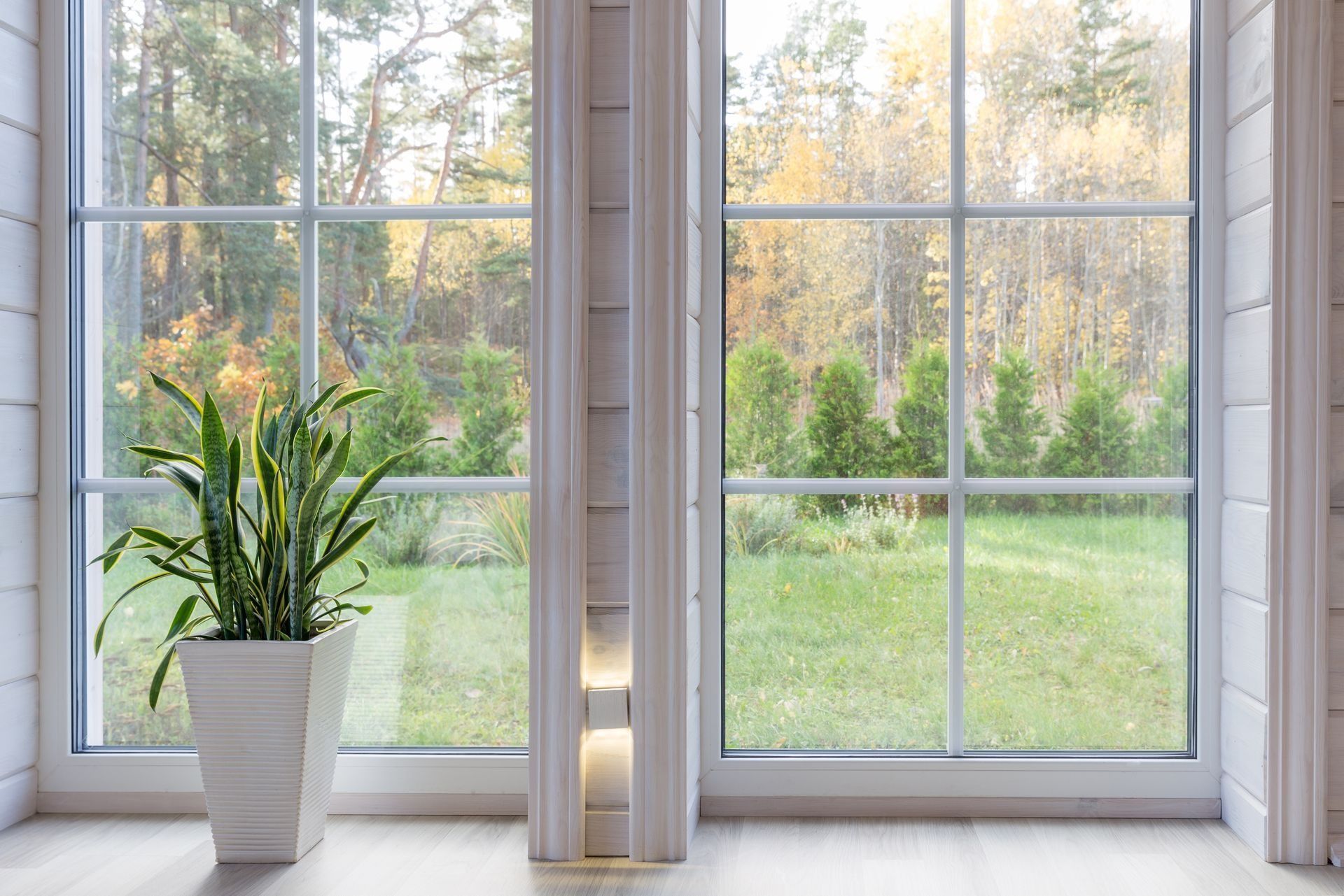 White-framed window with a view of a yard with trees. A potted plant sits on the windowsill.