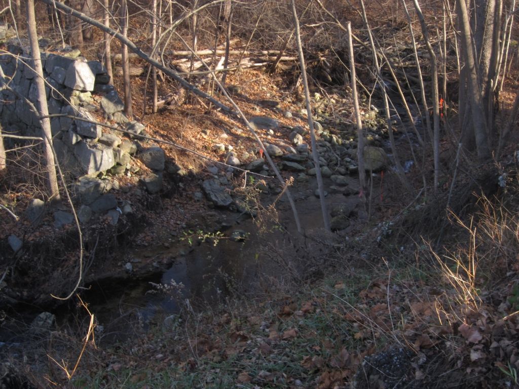 Paving repair service